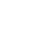 Zemchenko Logo